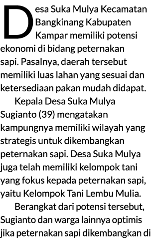 Desa Suka Mulya Kecamatan Bangkinang Kabupaten Kampar memiliki potensi ekonomi di bidang peternakan sapi. Pasalnya, d...