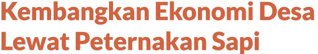 Kembangkan Ekonomi Desa Lewat Peternakan Sapi