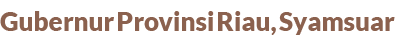 Gubernur Provinsi Riau, Syamsuar