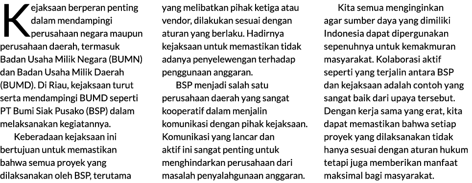 Kejaksaan berperan penting dalam mendampingi perusahaan negara maupun perusahaan daerah, termasuk Badan Usaha Milik N...