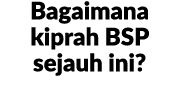 Bagaimana kiprah BSP sejauh ini?