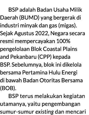 BSP adalah Badan Usaha Milik Daerah (BUMD) yang bergerak di industri minyak dan gas (migas). Sejak Agustus 2022, Nega...