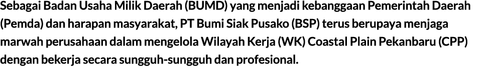 Sebagai Badan Usaha Milik Daerah (BUMD) yang menjadi kebanggaan Pemerintah Daerah (Pemda) dan harapan masyarakat, PT ...