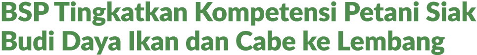 BSP Tingkatkan Kompetensi Petani Siak Budi Daya Ikan dan Cabe ke Lembang