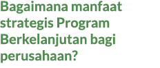 Bagaimana manfaat strategis Program Berkelanjutan bagi perusahaan?